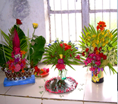 images